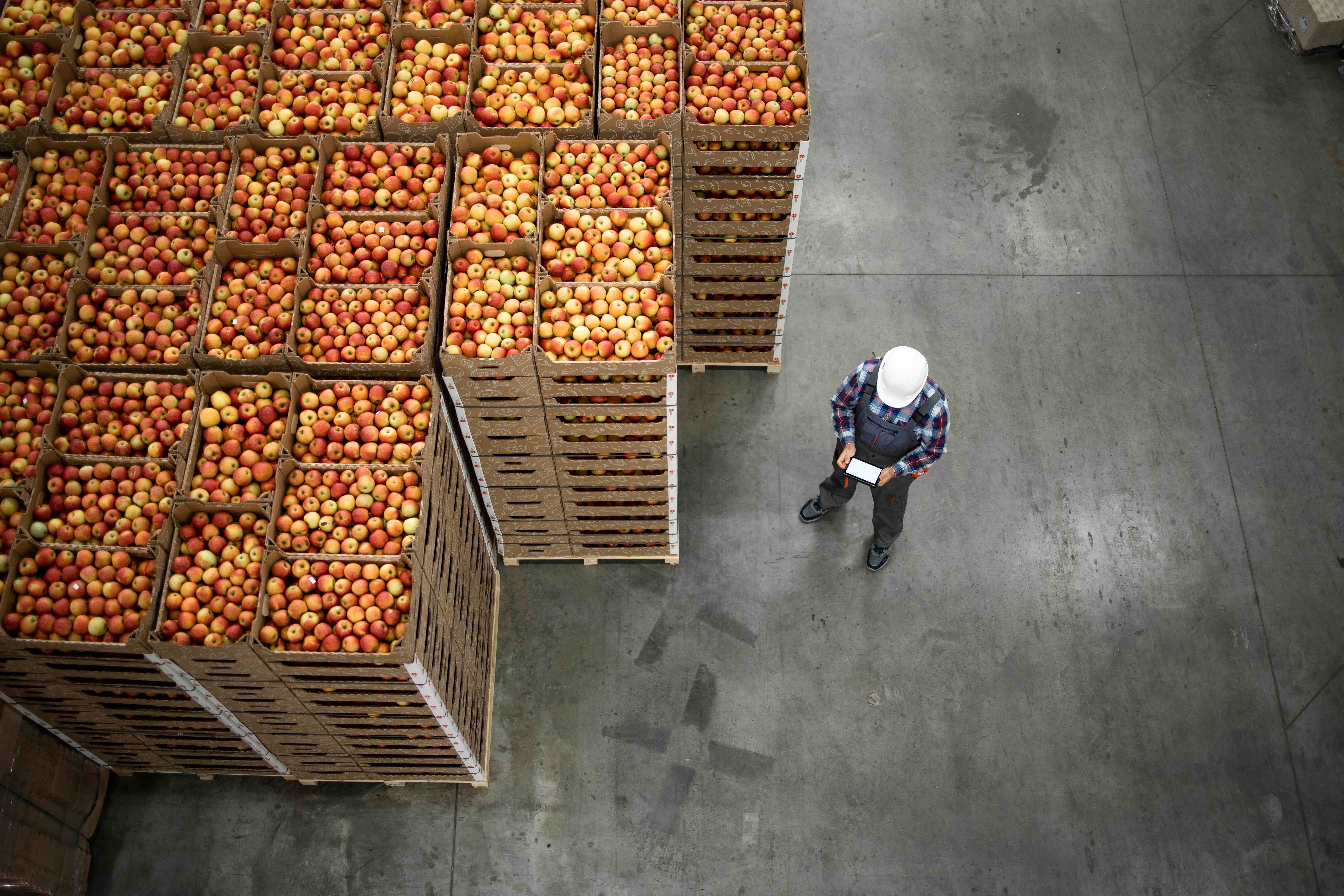 Warehouse with apple crates